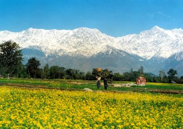 Memorable 5 Days Dharamshala, Dharamshala To Kangra Valley, Dharamshala To Dalhousie and Dalhousie To Khajjiar Excursion Trip Package