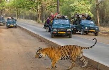 Magical 3 Days Bandhavgarh Culture and Heritage Trip Package