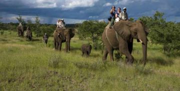 Experience 3 Days Jim Corbett with New Delhi Tour Package