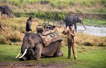 Experience 3 Days Jim Corbett with New Delhi Tour Package