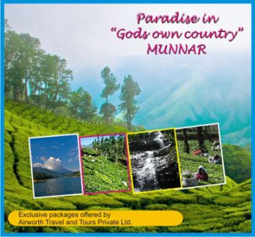 Beautiful Munnar Tour Package for 3 Days 2 Nights from Cochin