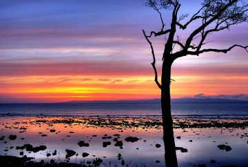 Ecstatic Rose Island Tour Package for 5 Days 4 Nights