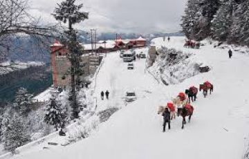 6 Days 5 Nights Shimla with Delhi Nature Tour Package