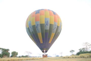 Ecstatic 8 Days 7 Nights Lake Manyara Wildlife Trip Package