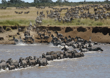 Ecstatic 8 Days 7 Nights Lake Manyara Wildlife Trip Package