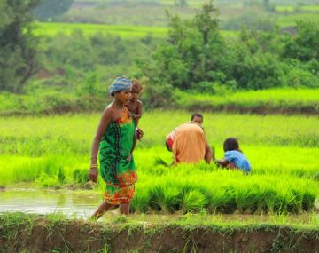 Memorable 5 Days 4 Nights Bheja Friends Vacation Package