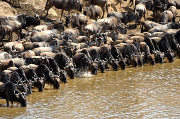 Magical 5 Days Nairobi to Lake Nakuru Culture and Heritage Tour Package