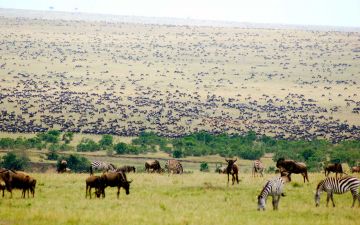 Magical 5 Days Nairobi to Lake Nakuru Culture and Heritage Tour Package