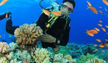 Port Blair and Havelock Island Honeymoon Tour Package for 4 Days