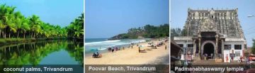 Experience 3 Days Poovar Trip Package