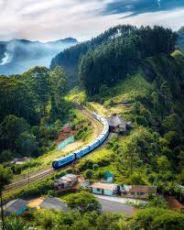 Heart-warming 4 Days Ooty Trip Package
