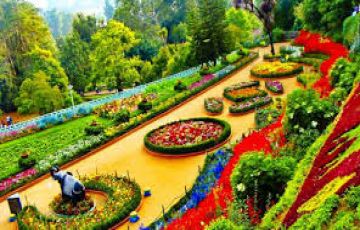 Ecstatic 4 Days Ooty Vacation Package
