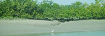 Experience Sundarban Tour Package for 4 Days
