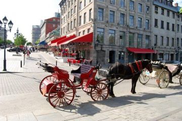 Ecstatic Canada Tour Package for 2 Days 1 Night from Dehradun