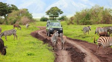 Memorable 4 Days Ngorongoro Crater And Back To Arusha Trip Package