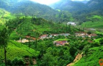 Pleasurable 5 Days Munnar, Thekkady, Alleppey and Cochin Tour Package