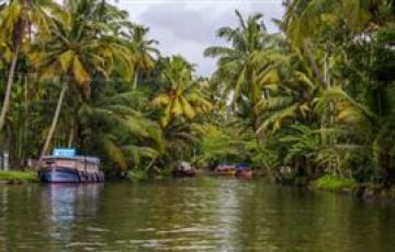 Magical 5 Days Munnar, Thekkady, Alleppey and Cochin Trip Package