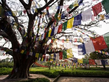 5 Days 4 Nights Chitwan, Pokhara, Nagarkot and Kathmandu Friends Tour Package