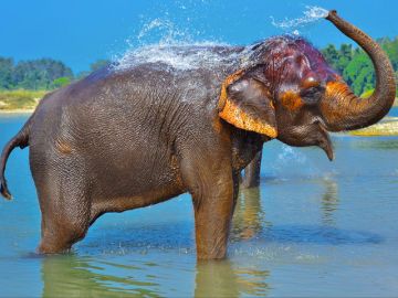 Family Getaway 6 Days Tibet Friends Tour Package