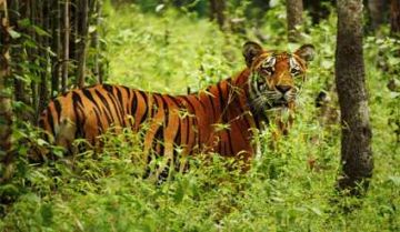 Experience 6 Days 5 Nights Nagarkot Honeymoon Trip Package