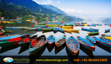 Amazing 8 Days Kathmandu Family Vacation Package