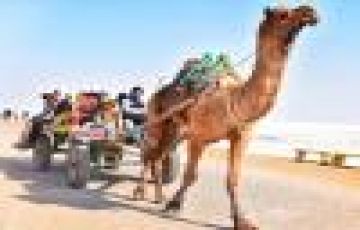 Best 5 Days Alleppey Tour Package