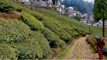 4 Days 3 Nights Darjeeling with New Delhi Holiday Package