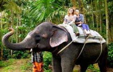 Family Getaway 5 Days 4 Nights Alleppey Trip Package