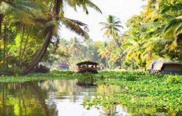 Family Getaway 5 Days Munnar Holiday Package