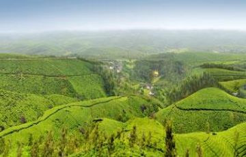 Heart-warming 4 Days 3 Nights Munnar, Periyar and Thekkady Tour Package