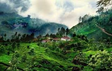 Heart-warming 6 Days Bangalore to Ooty Honeymoon Trip Package