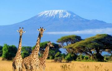 Tour Package for 5 Days 4 Nights from Kenya