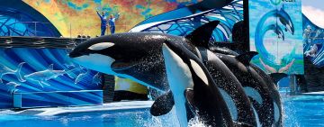 5 Days 4 Nights Bahamas Nature Holiday Package