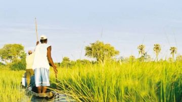 Best 9 Days 8 Nights Okavango Delta - Maun Tour Package