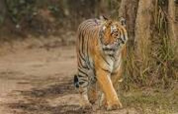 Magical 7 Days Jim Corbett to Delhi Family Tour Package
