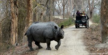 Amazing 3 Days 2 Nights Kaziranga Holiday Package