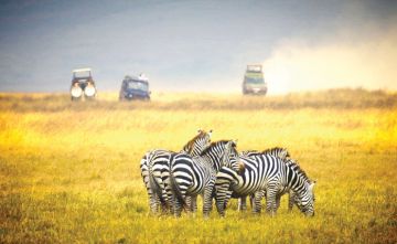 Experience 4 Days 3 Nights Serengeti National Park Beach Tour Package