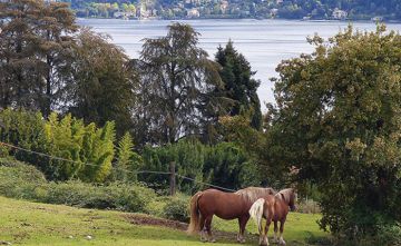 Magical 4 Days Florence and Milan Culture and Heritage Trip Package