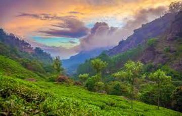 Experience 4 Days Munnar with New Delhi Tour Package