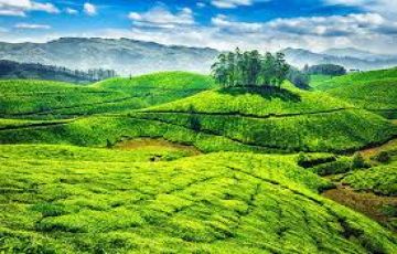 Munnar and New Delhi Tour Package for 4 Days from New Delhi