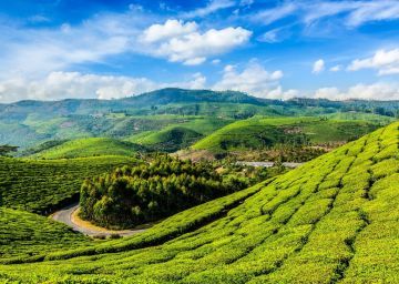 Memorable 4 Days Munnar and Thekkady Vacation Package