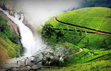 Pleasurable 4 Days 3 Nights Munnar with New Delhi Tour Package