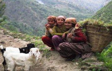 Best 5 Days 4 Nights Haridwar, Joshimath with Badrinath Trip Package