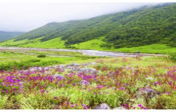 Haridwar Tour Package From Rajkot