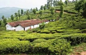 Amazing Coonoor Tour Package from Mysore
