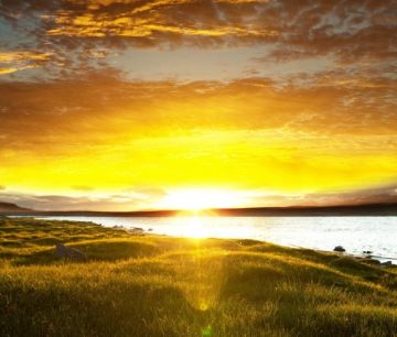 Heart-warming 2 Days Sweden and Delhi Trip Package