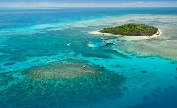 Memorable 4 Days 3 Nights Cairns Nature Holiday Package