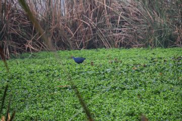 Best 4 Days Nanpara Family Vacation Package