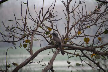 Best 4 Days Nanpara Family Vacation Package