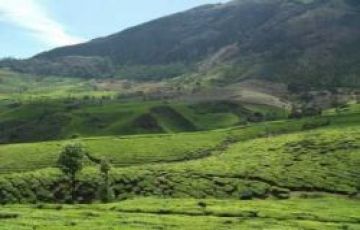 Experience Coorg Tour Package for 7 Days 6 Nights from Kodaikanal